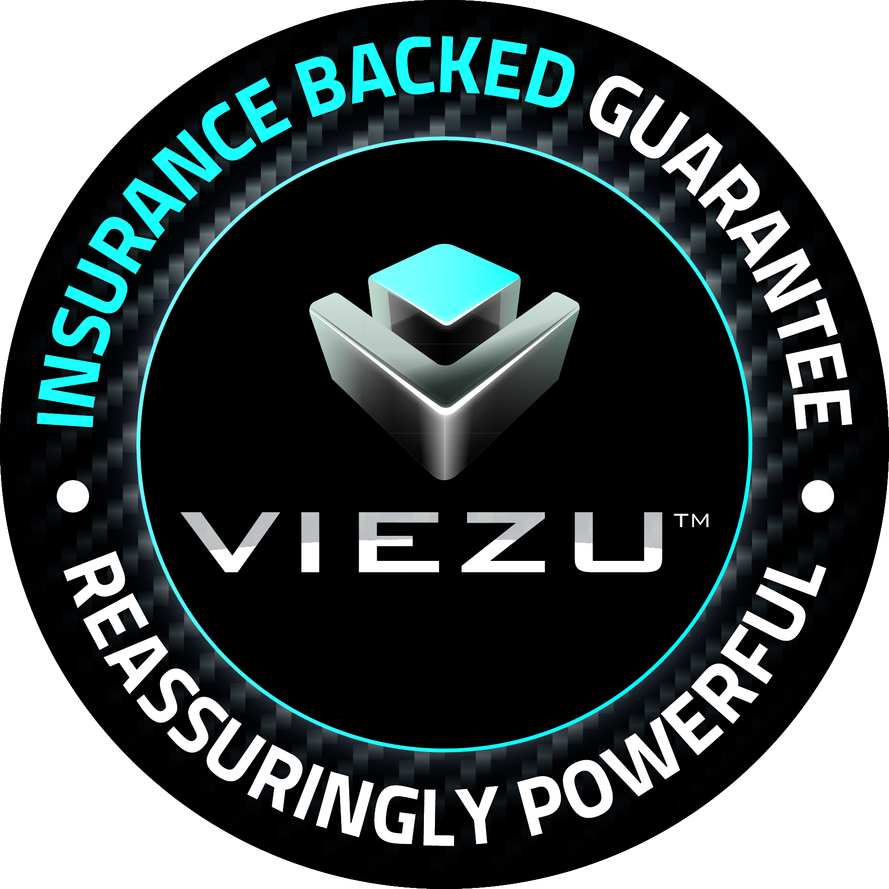 VIEZU INSURANCE BACKING